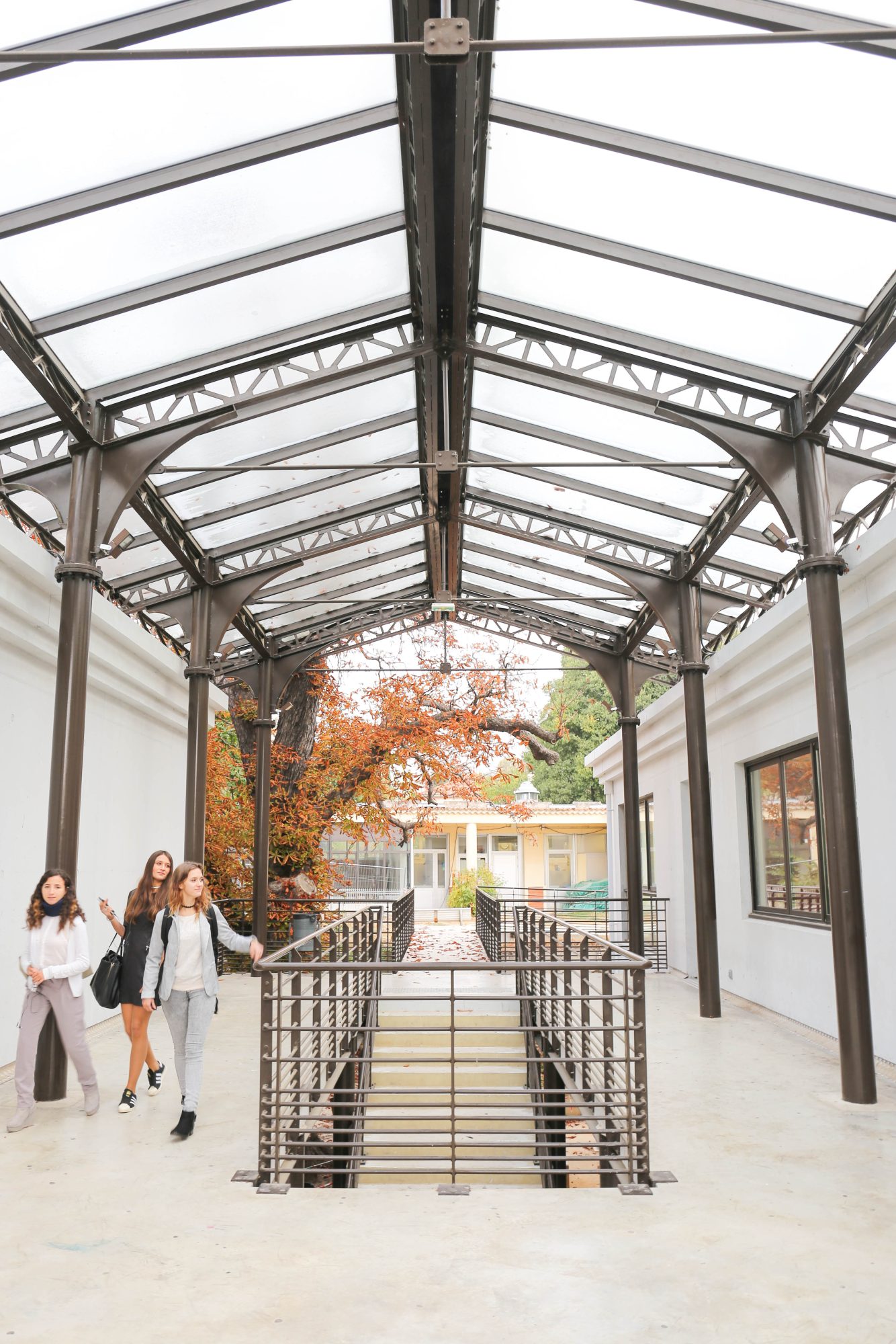 Provence_Formation_C_Grawitz_Bdef_010